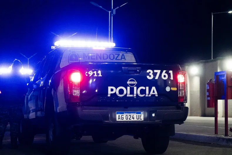 Red de contrabando turístico en el Sur: Gendarmería y la Policía de Mendoza incautaron vehículos no declarados
