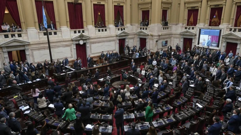 gobierno-malvinas-diputados