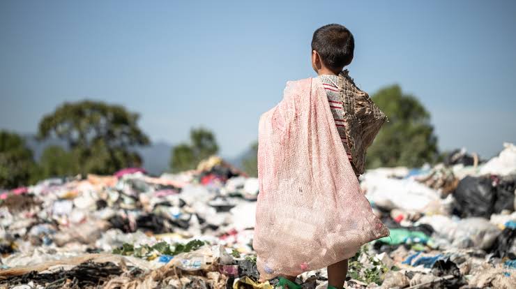 Panorama social: estiman que 15,1 millones de personas quedaron bajo la línea de pobreza
