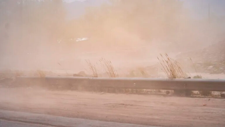 viento-zonda